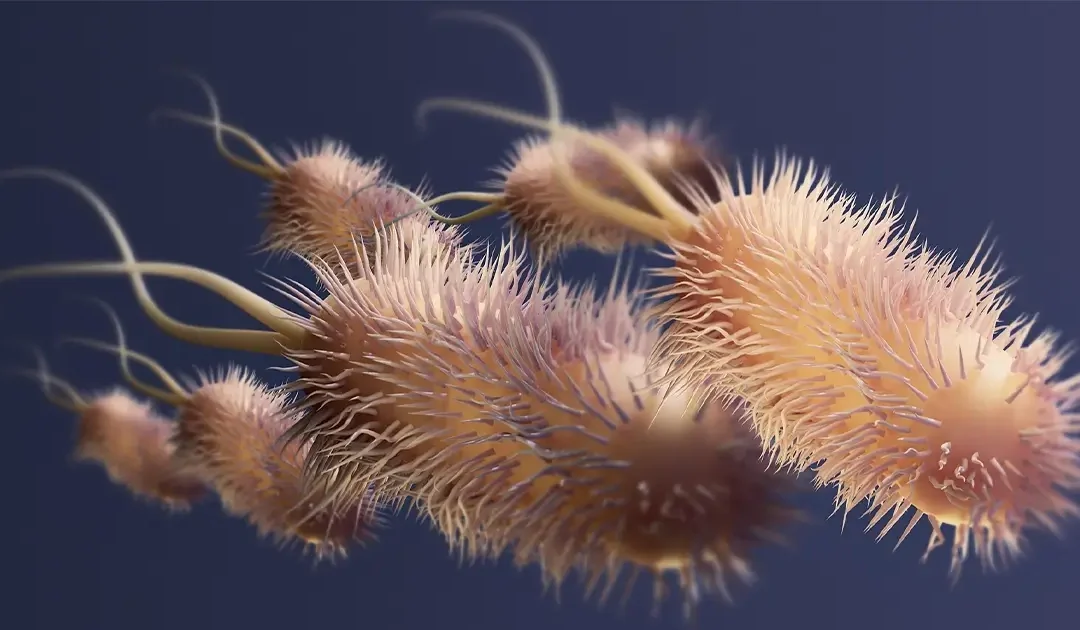 Mitä bakteereita järvivedessä tyypillisesti esiintyy?