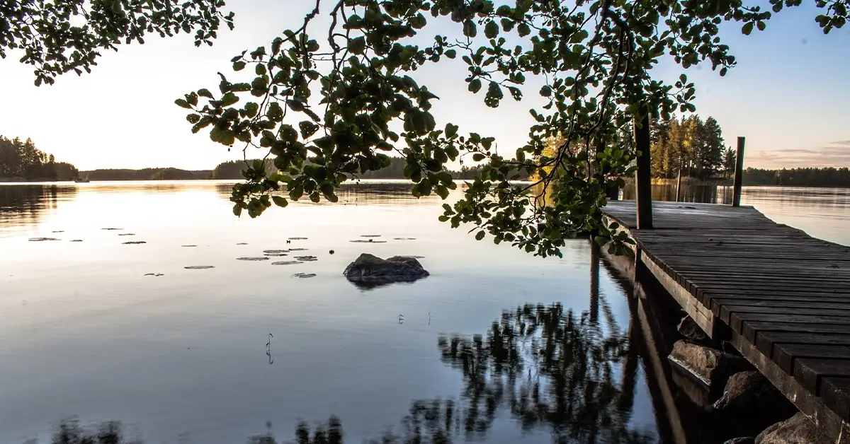 mist-tiet-ett-vedensuodatin-toimii-oikein-j-rviveden-kanssa-mr-lvi